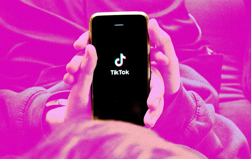Download TikTok Videos
